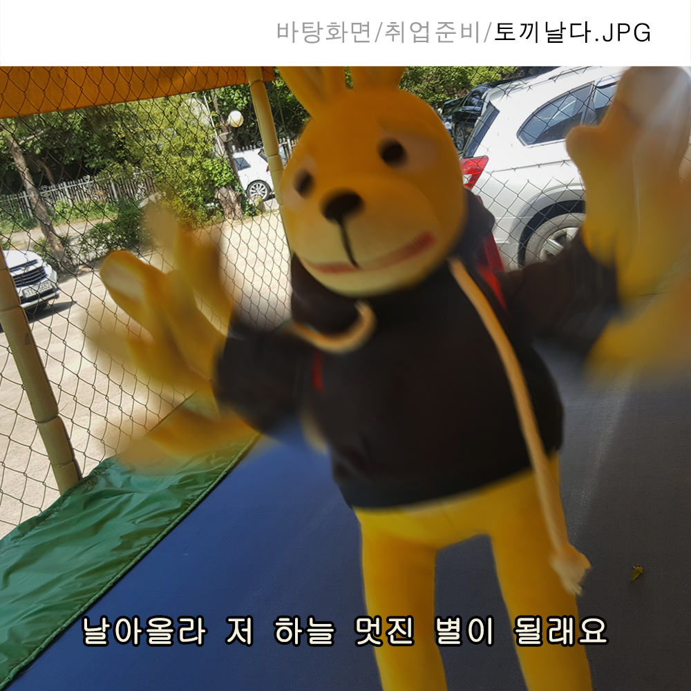 122_토끼날다.jpg